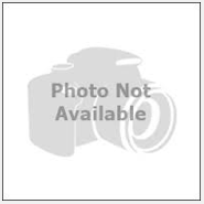 Kathakali December 2016